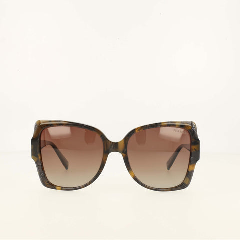 Champion Women's Polarized Oversized Butterfly in Tortoise
